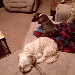 Meet your Posher, Gary